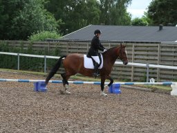 IMG_4706_web